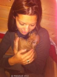 20101129_Makakadi_Macuma Frisch auf der Welt und nuggelt schon am Frauchen_0036